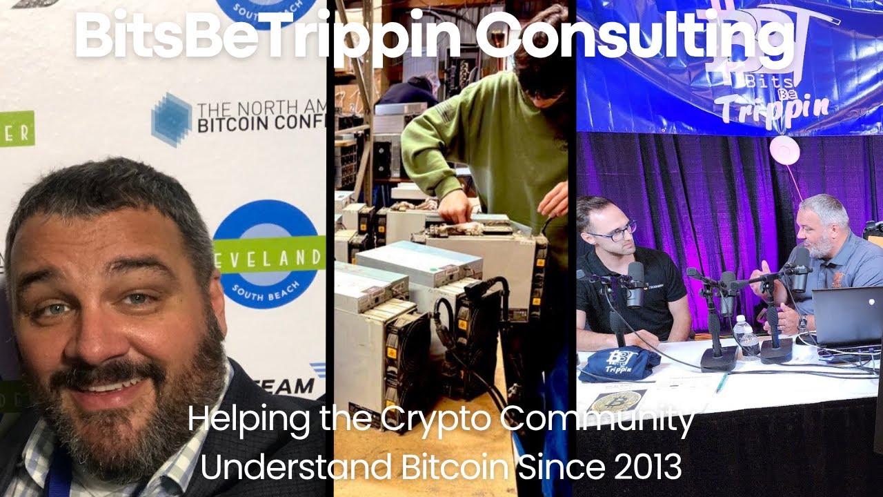 Bitsbetrippin Consulting Venture